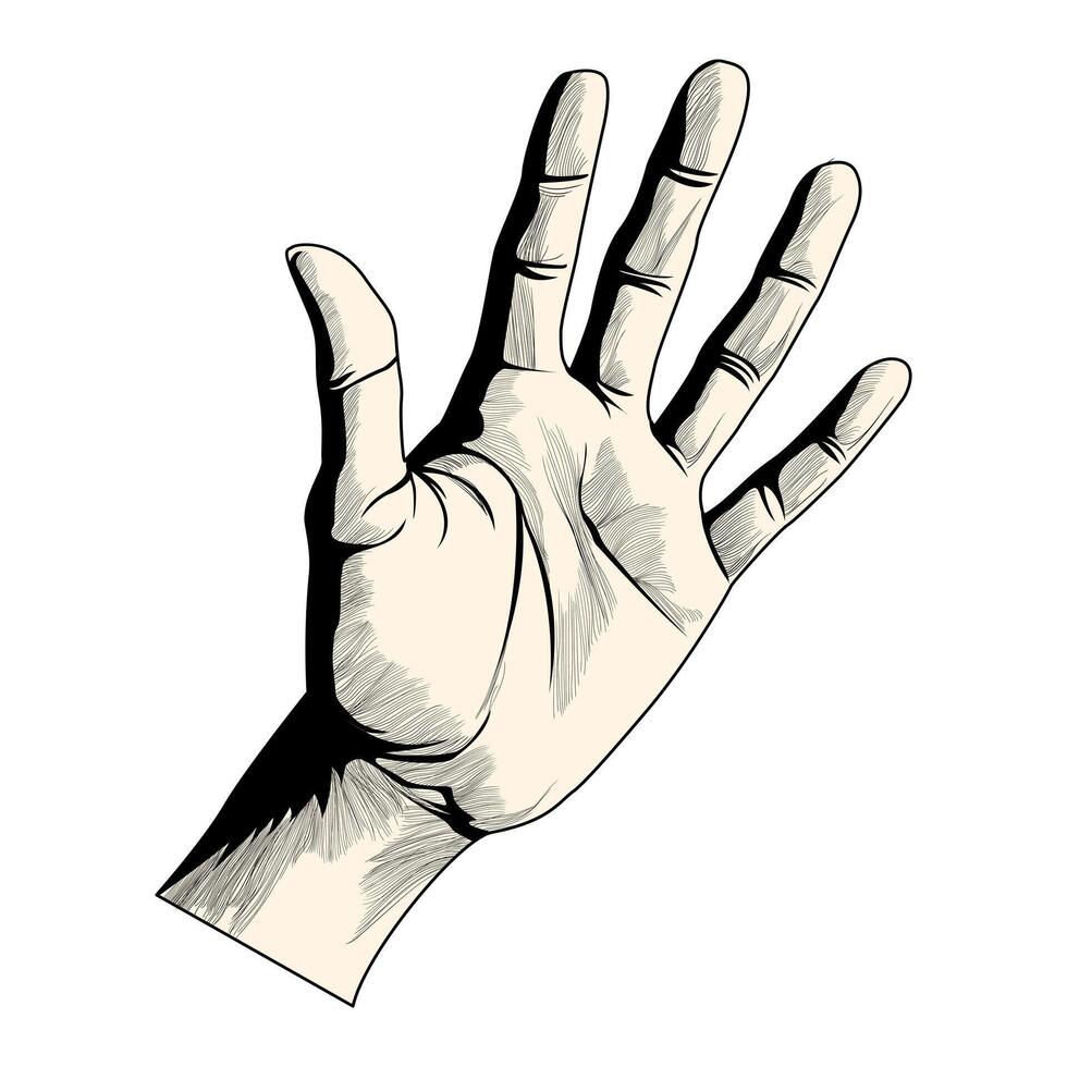 realistisch Hand. schwarz und Weiß Hand. Gemälde mit Schläge. Finger, Haut, Falten, Schatten. Mensch Palme. Vektor Illustration