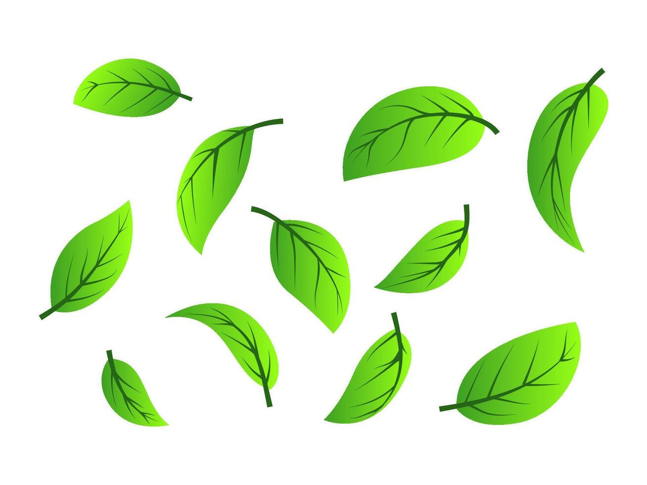 Grün Tee Blätter fliegend im das Luft vektor
