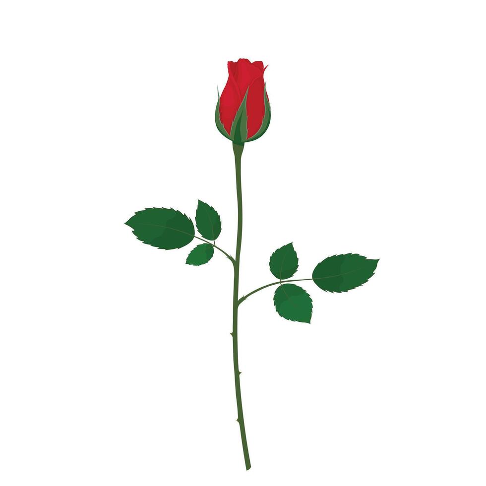 Single rot Rose Knospe eben Vektor isoliert auf Weiß Hintergrund. Hand gezeichnet Illustration