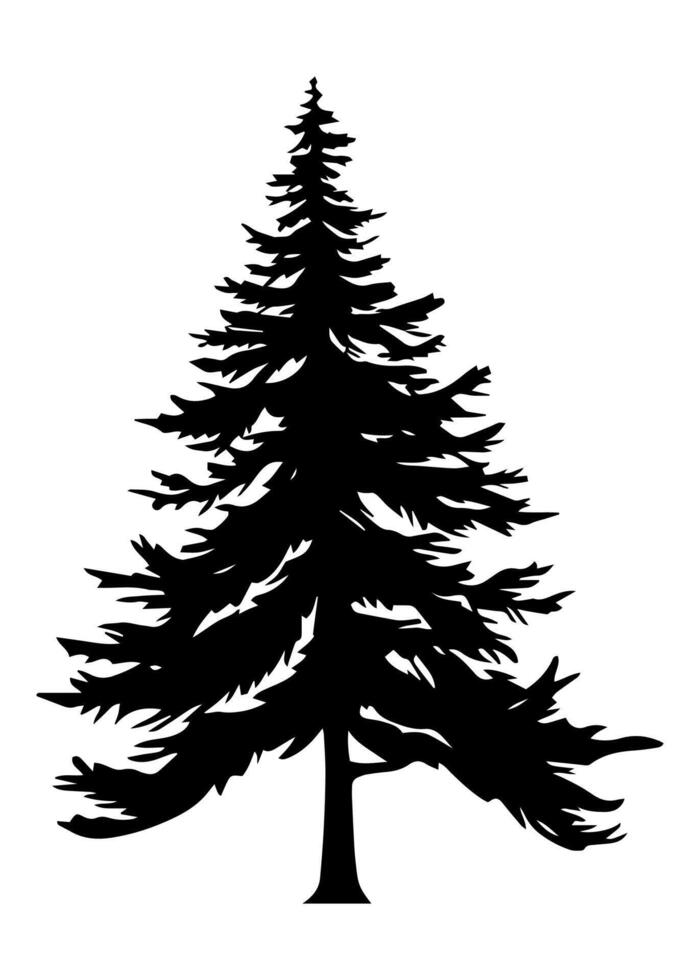 Tanne Bäume Silhouette. schwarz Silhouette von Sinus Baum auf Weiß Hintergrund. Vektor Illustration