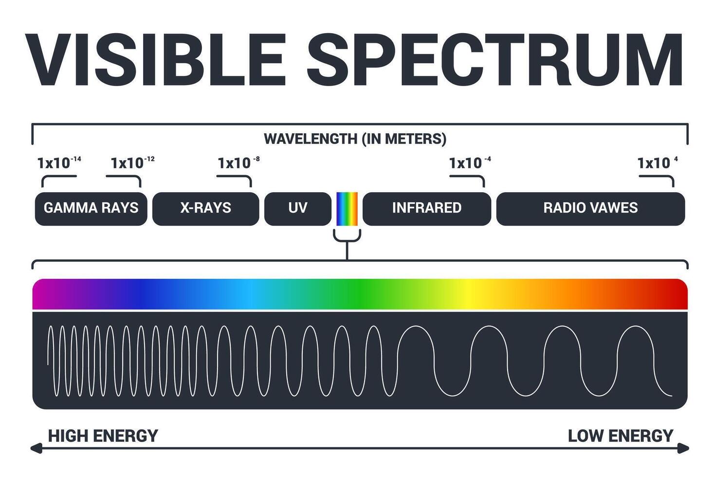sichtbar Licht Diagramm. Farbe elektromagnetisch Spektrum, Licht Welle Frequenz. lehrreich Schule Physik Vektor Hintergrund. Illustration von Spektrum Diagramm Regenbogen, Infrarot und elektromagnetisch