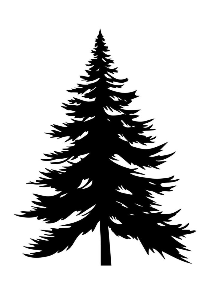 gran träd silhuett. svart silhuett av sinus träd på vit bakgrund. vektor illustration