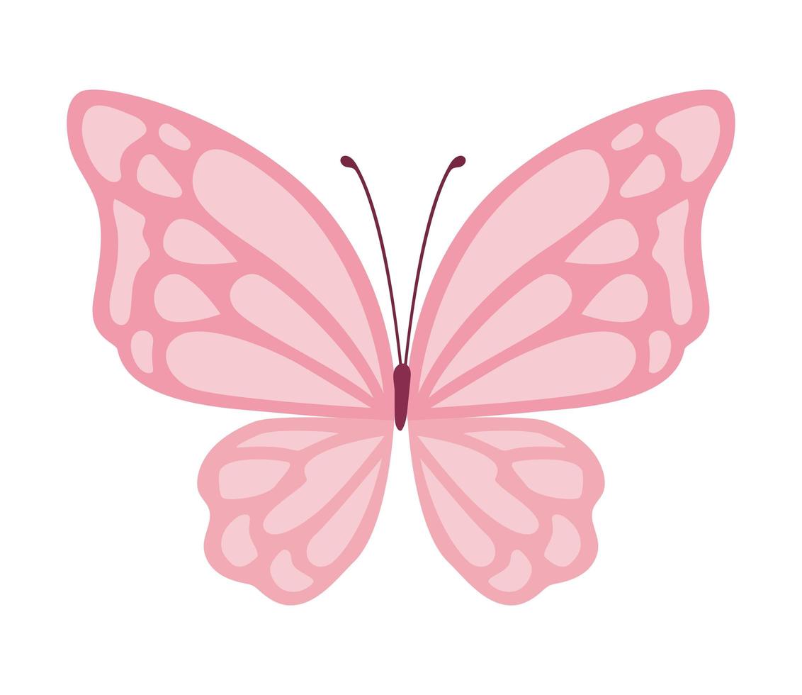 süßes rosa Schmetterlingsvektordesign vektor