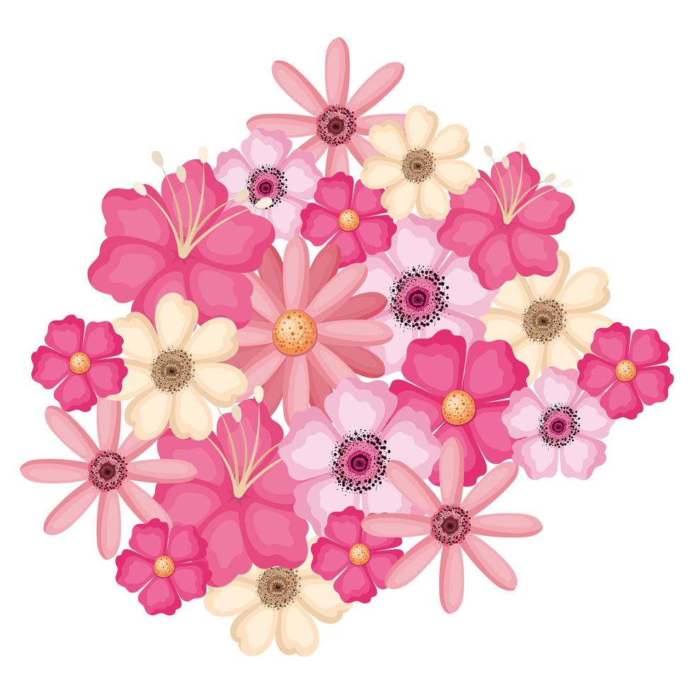 isolierte rosa und weiße Blumen-Vektor-Design vektor