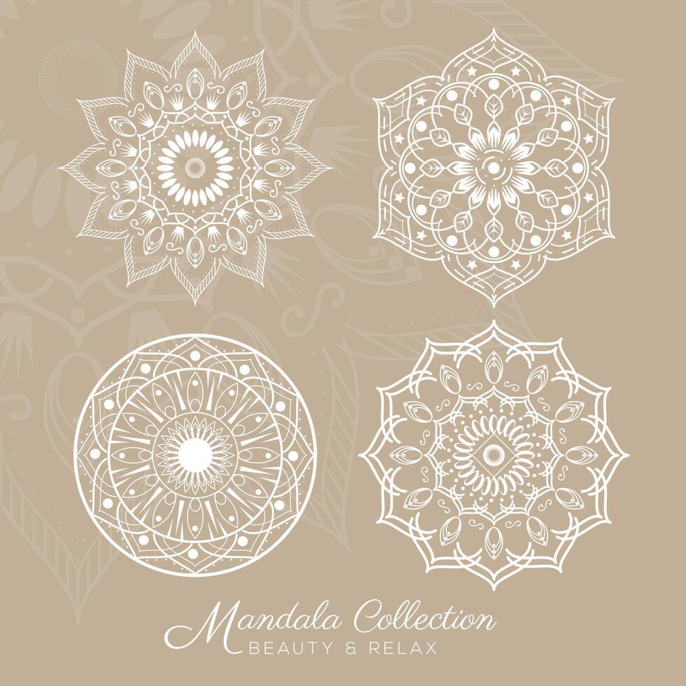 schön Mandala Designs Sammlung einstellen vektor