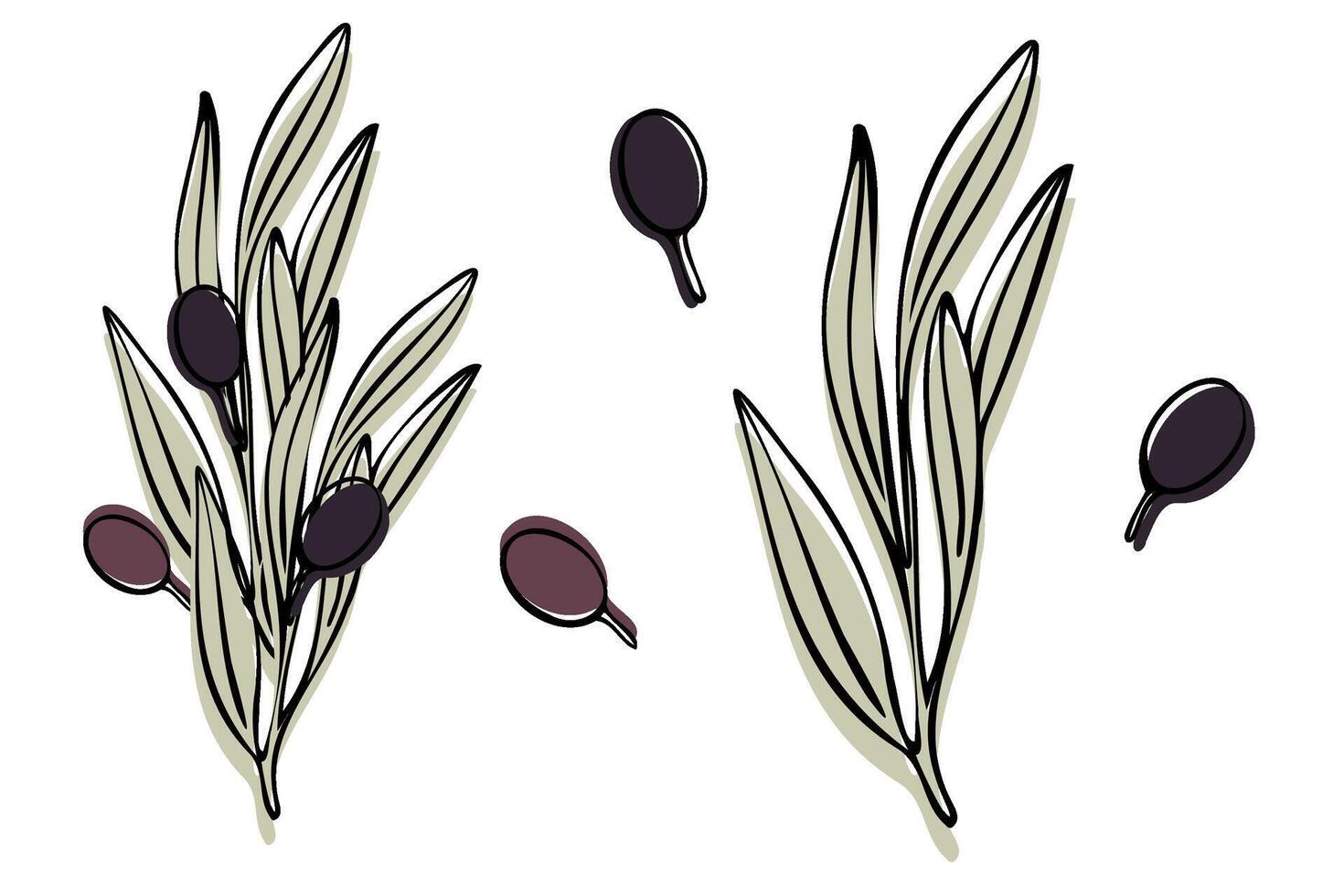 vektor oliv träd gren med löv och oliver frukt. hand målad översikt blommig illustration med Färg bakgrund för logotyp, paket design, hälsningar, tapeter, skriva ut, tyg