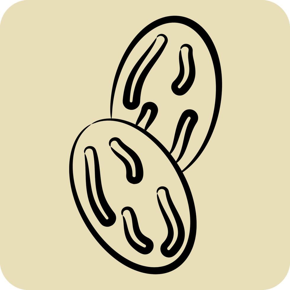 ikon muskot. relaterad till krydda symbol. hand dragen stil. enkel design redigerbar. enkel illustration vektor
