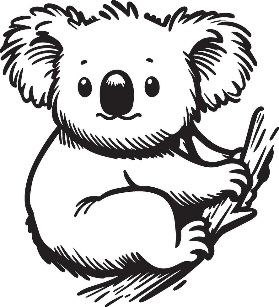 koala skiss teckning. vektor