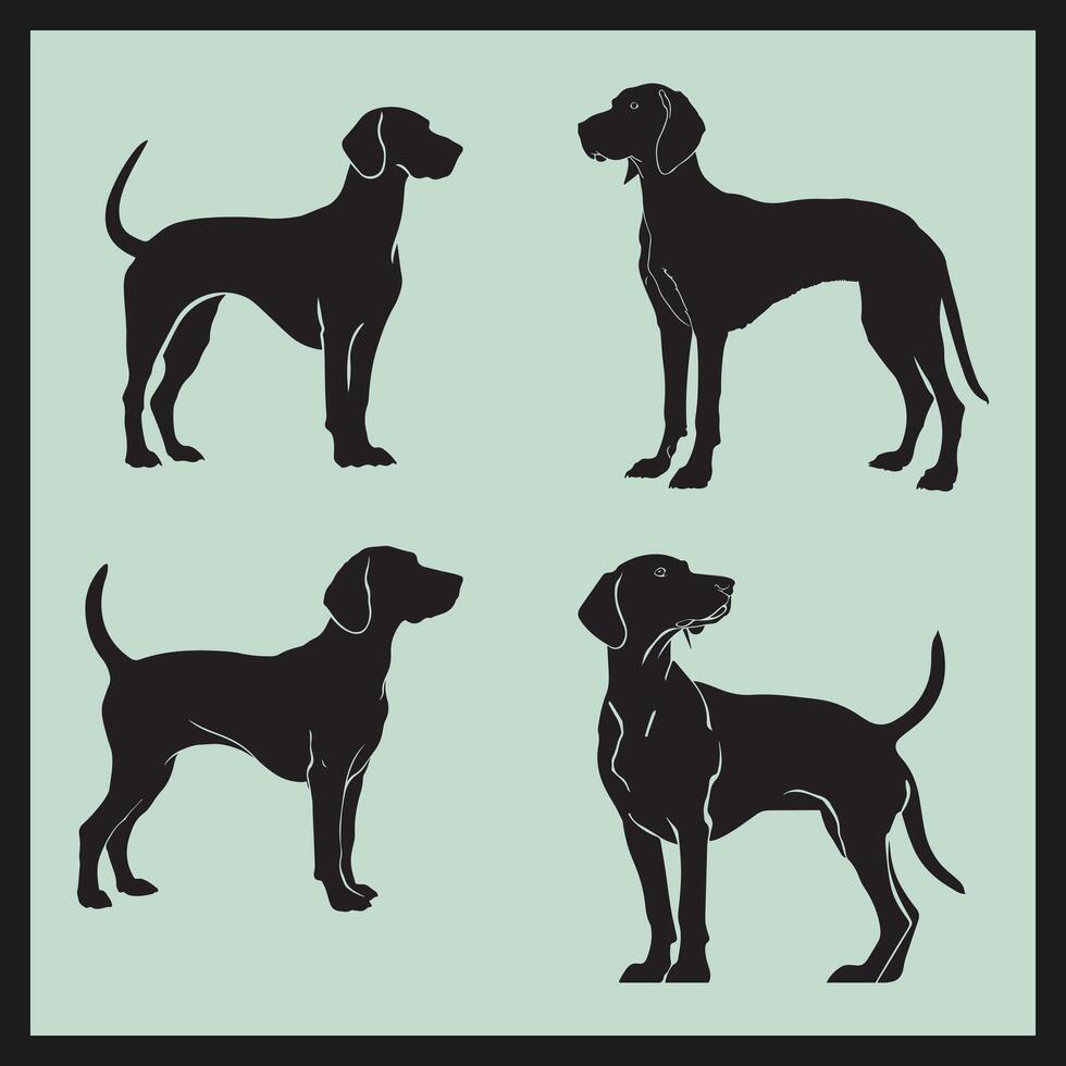 Hund Silhouette, amerikanisch Coonhound Hund Silhouette einstellen Vektor