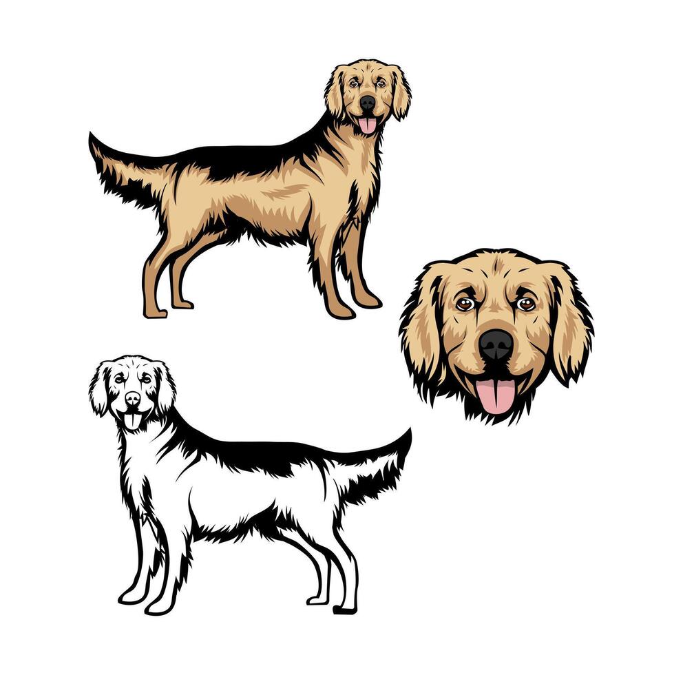 gyllene retriever hund tecknad serie karaktär design illustration vektor