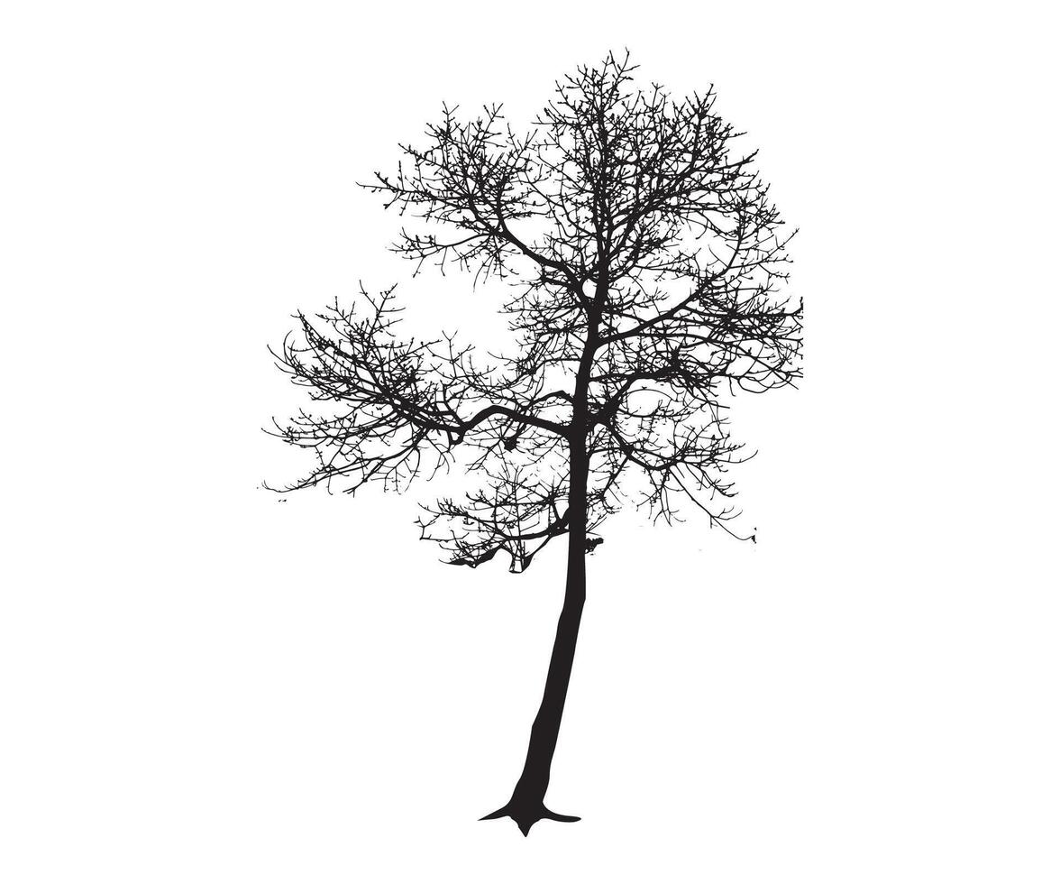 Baum Silhouette Vektor Kunstwerk Konzepte Design Elemente