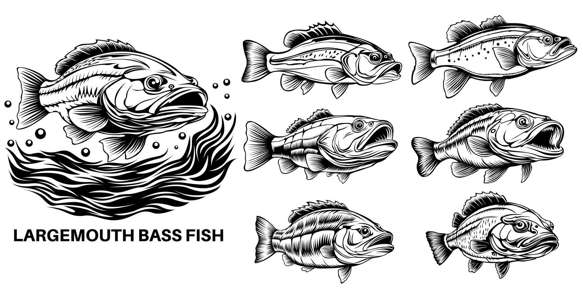 einstellen Forellenhals Bass Fisch Symbol Logo Design Vektor Abbildungen