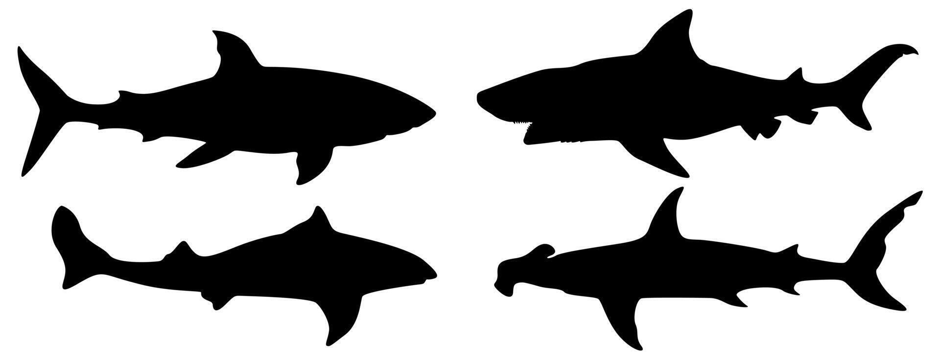 einstellen Vektor Haie gefährlich Tier schwarz Silhouette Tier Symbol Illustration