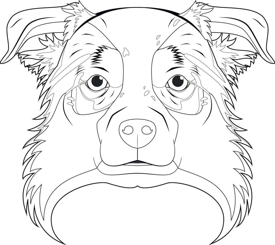 australisch Hirte Hund einfach Färbung Karikatur Vektor Illustration. isoliert auf Weiß Hintergrund