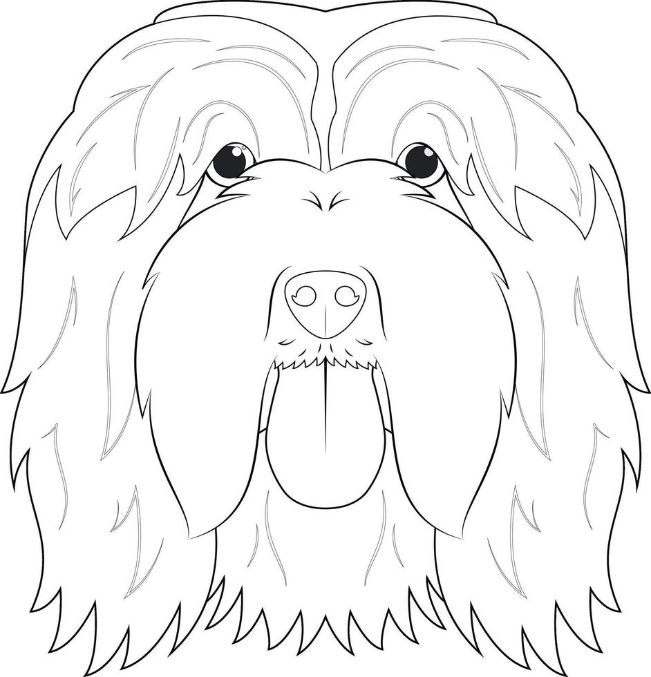 skäggig collie hund lätt färg tecknad serie vektor illustration. isolerat på vit bakgrund