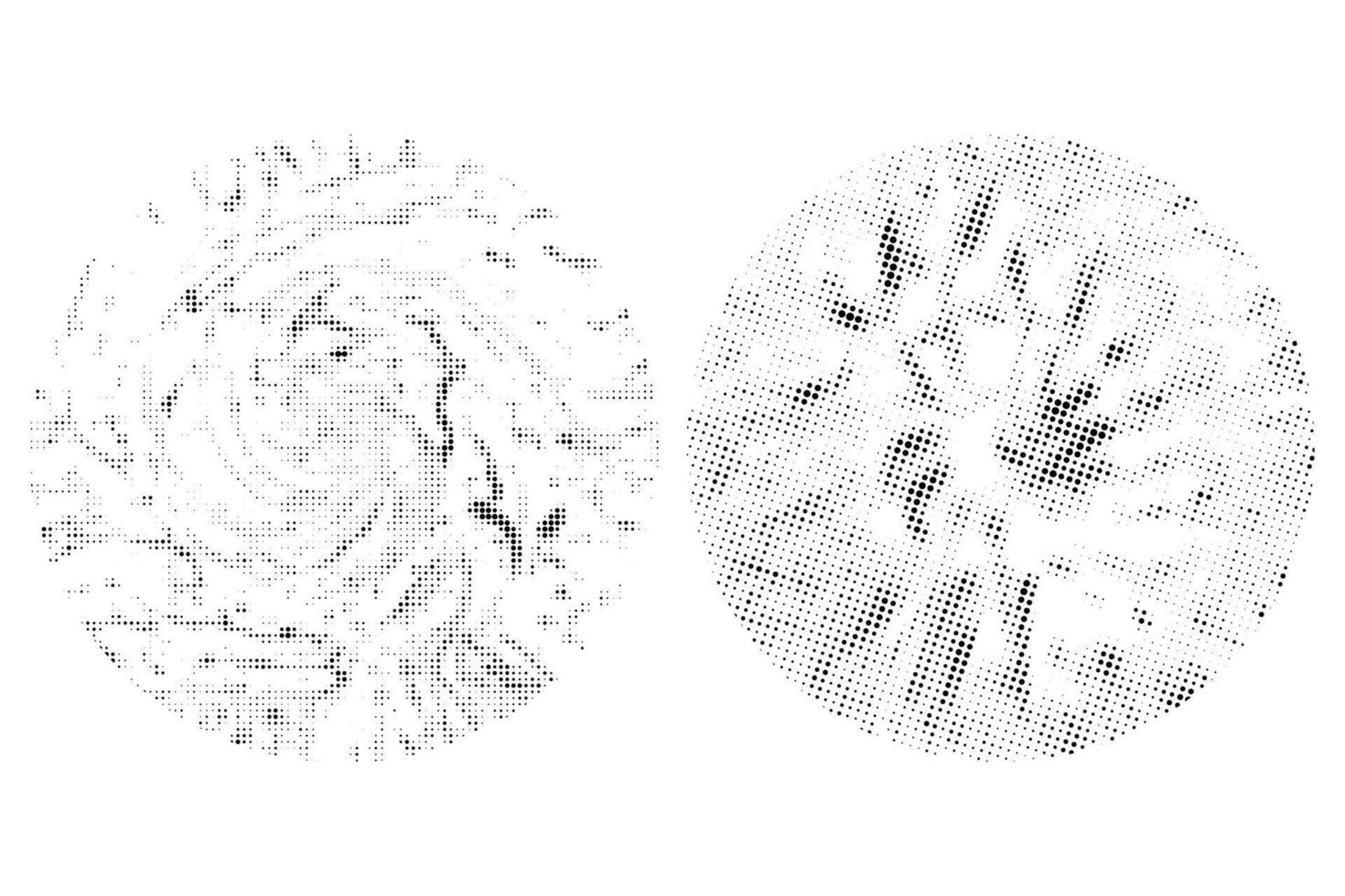 zwei Kreise mit anders Formen und Größen mit Halbton Punkte Wirkung, Auge Linse mit Bitmap Punkt Textur einstellen vektor