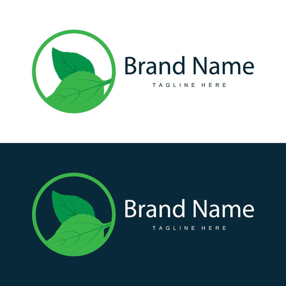 grön blad logotyp vektor naturlig växt natur design ikon blad mall illustration