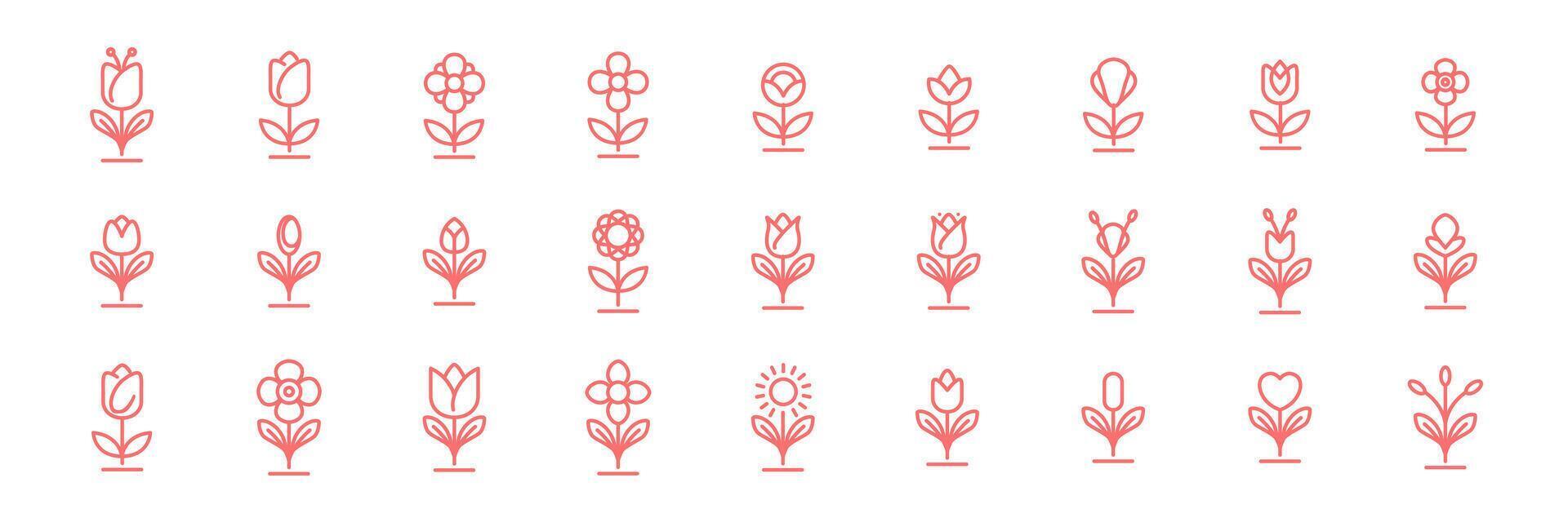 feminin växt blomma botanisk blomsterhandlare linje modern minimal ikon uppsättning samling logotyp design vektor illustration