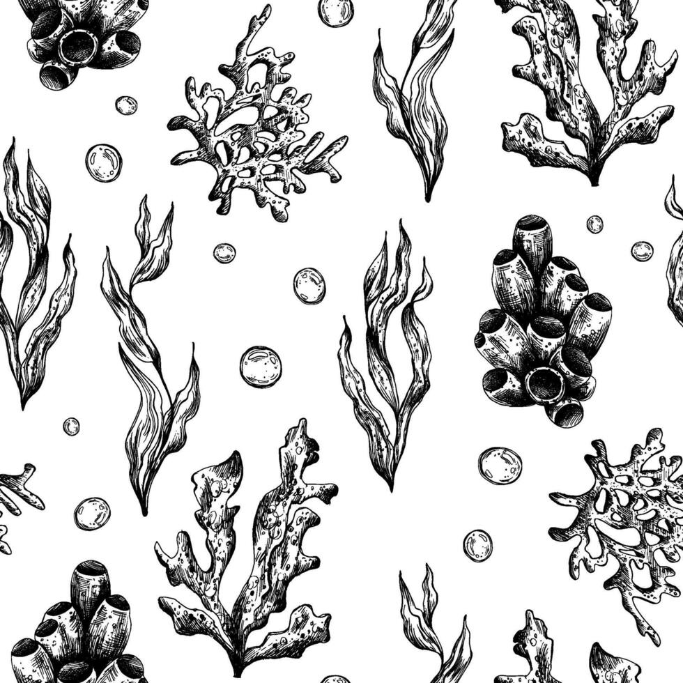 unter Wasser Welt Clip Art mit Meer Tiere Koralle und Algen. Grafik Illustration Hand gezeichnet im schwarz Tinte. nahtlos Muster eps Vektor. vektor