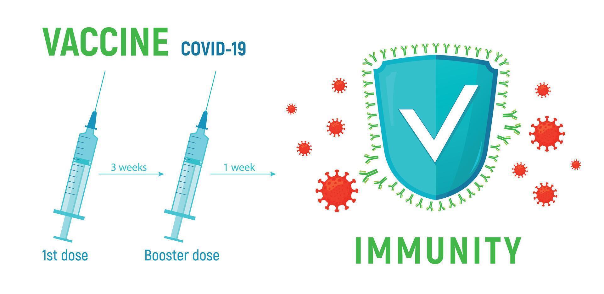 das Konzept von das brauchen und Regeln von Impfung gegen Coronavirus. das Schild ist umgeben durch Antikörper Das Attacke das Coronavirus Zellen. Vektor Illustration. Spritzen mit Medikamente.