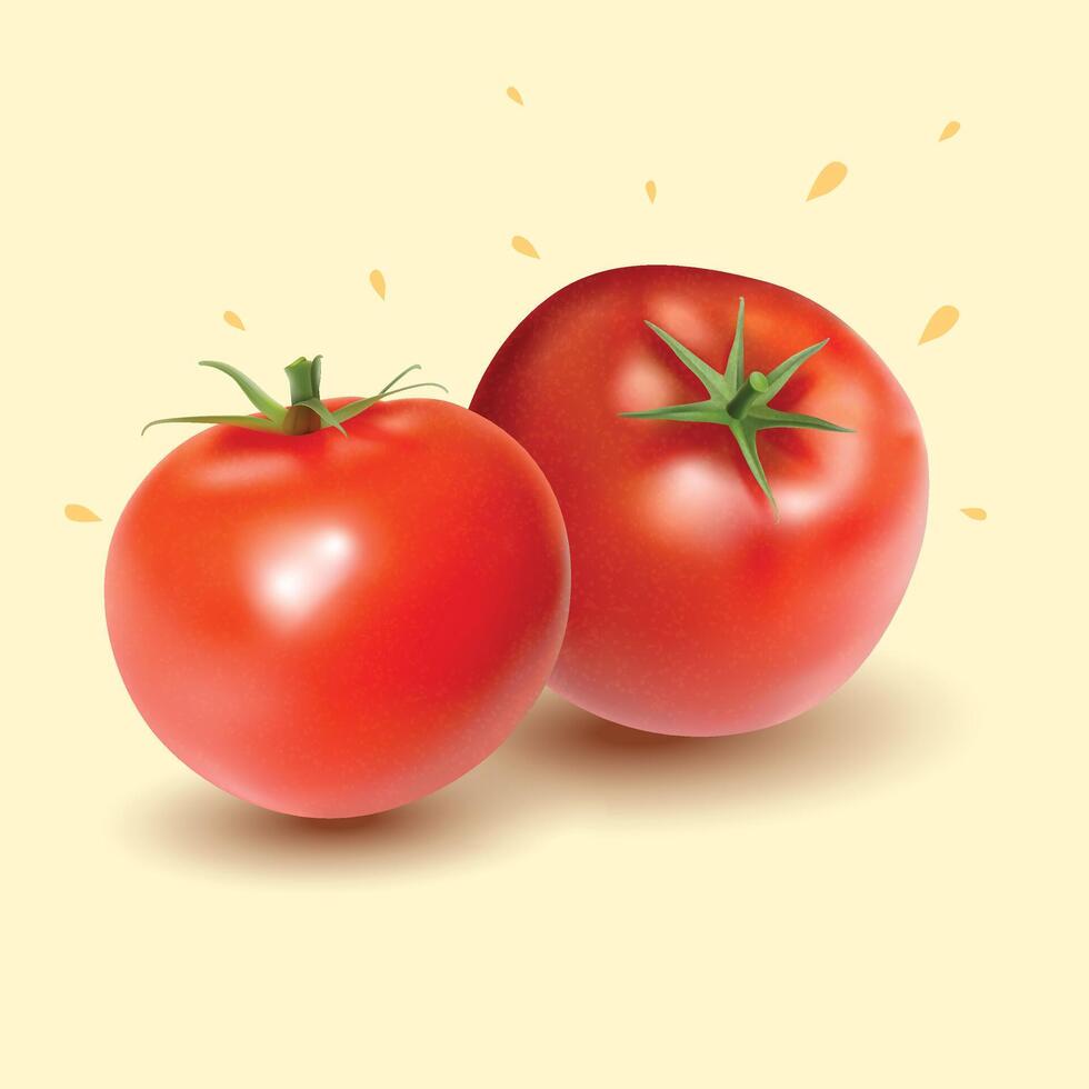 vektor röd tomat hela frukt av tomat bakgrund