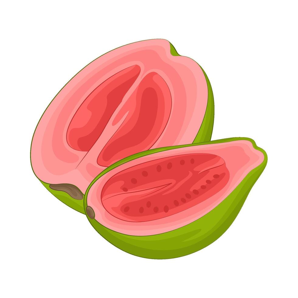 illustration av halv guava vektor