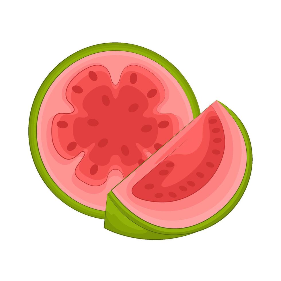 Illustration von Guave Scheibe vektor