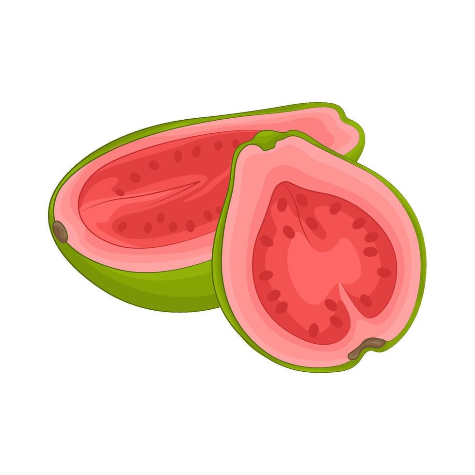 illustration av guava skiva vektor