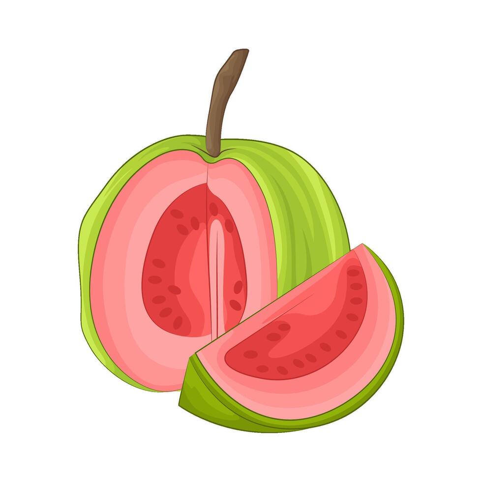 illustration av guava vektor