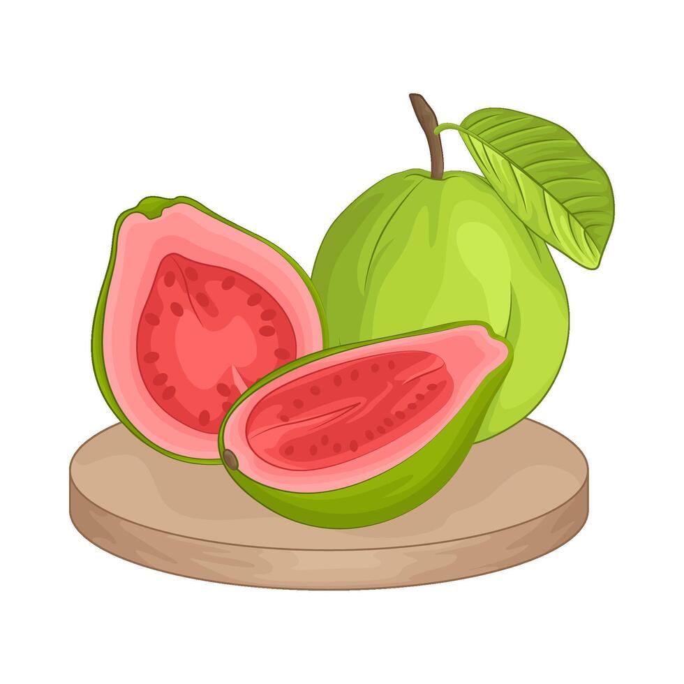 illustration av guava vektor