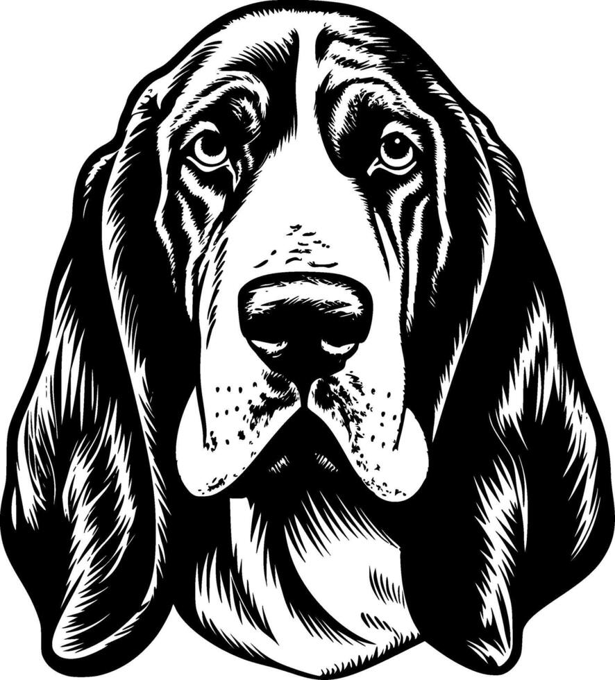 basset hund - svart och vit isolerat ikon - vektor illustration