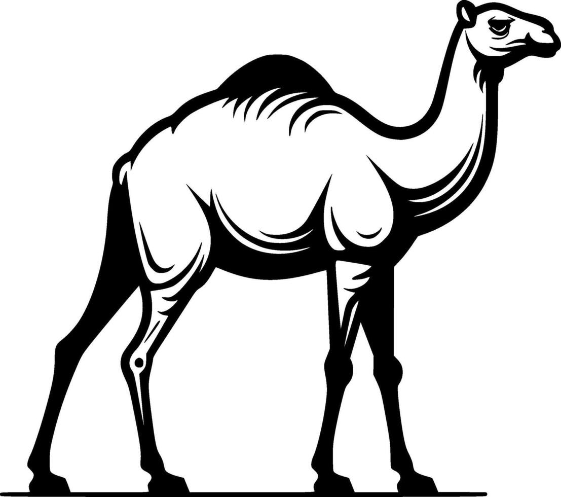 kamel, svart och vit vektor illustration