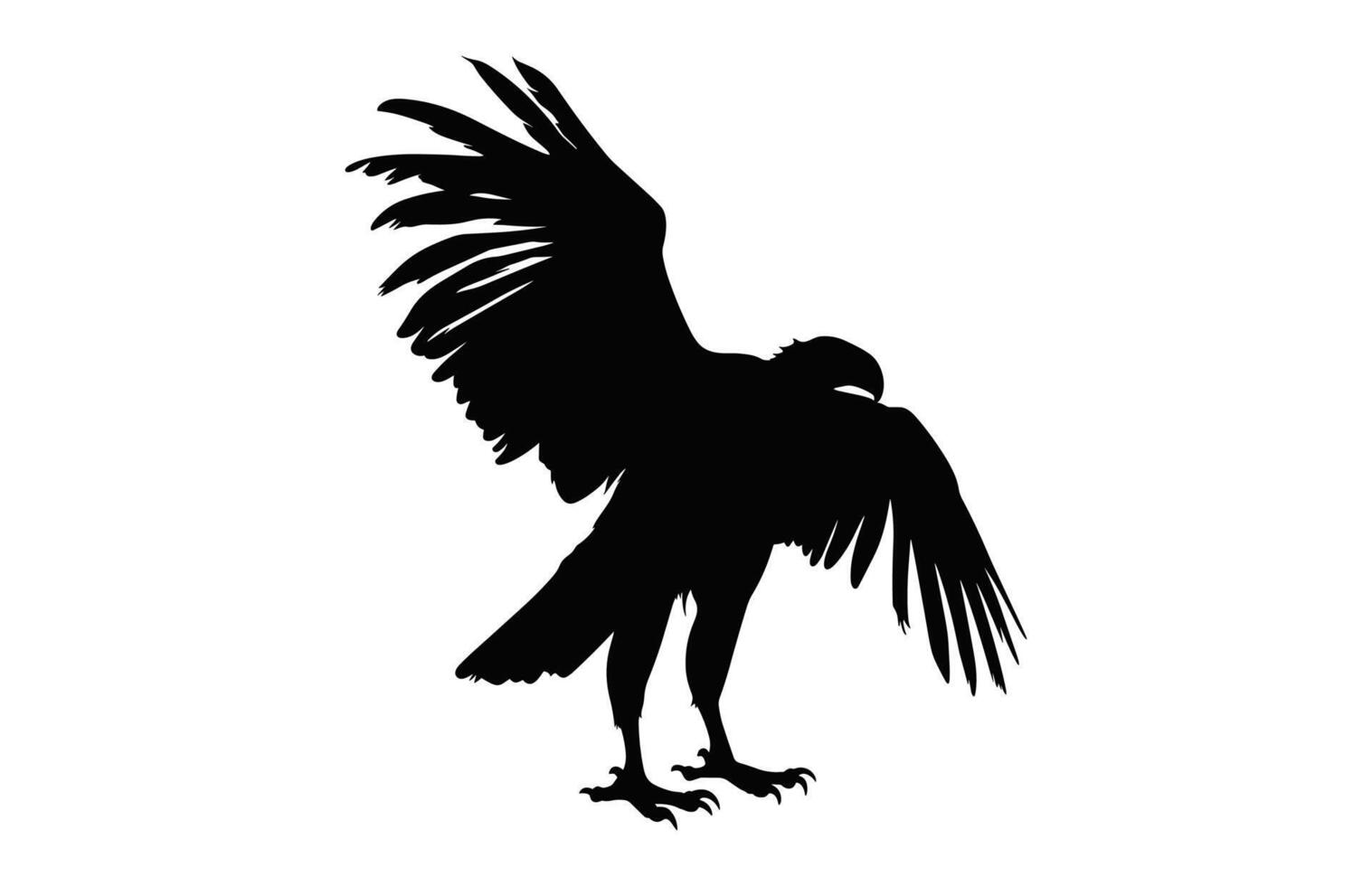 fliegend Griffon Geier Schnabel schwarz Vektor, groß Griffon Geier Silhouette isoliert auf ein Weiß Hintergrund vektor