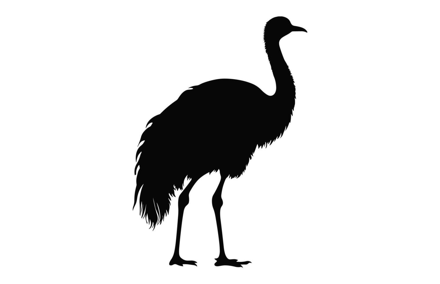 emu silhuett isolerat på en vit bakgrund, en struts emu svart silhuett, australier emu fågel vektor