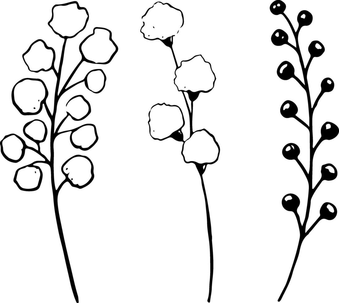 runda fält blommor illustration uppsättning. botanisk vild ClipArt för vår och sommar blommig mönster och rustik bröllop vektor