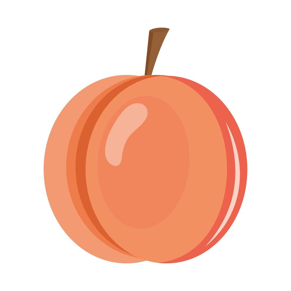 melon färsk frukt vektor