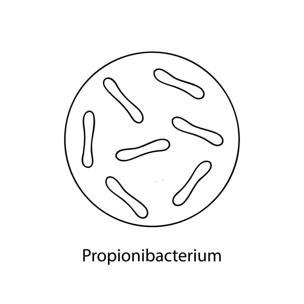 pathogen Bakterien. bakteriell Mikroorganismus. Mikrobiologie, Infografiken. Hand gezeichnet Gekritzel Stil. vektor