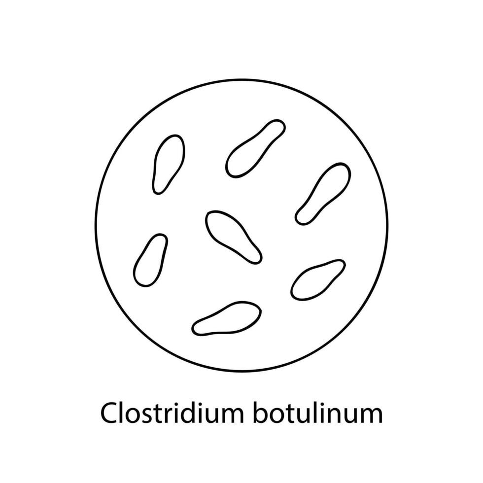 sjukdomsalstrande bakterie. bakteriell mikroorganism. mikrobiologi, infografik. hand dragen klotter stil. vektor