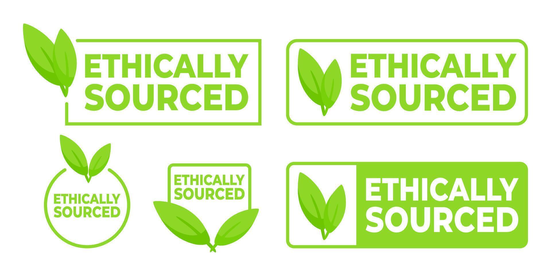 einstellen von Grün ethisch bezogen Etiketten mit Blatt Symbole, zum Produkte verantwortlich Beschaffung und korporativ Ethik. vektor