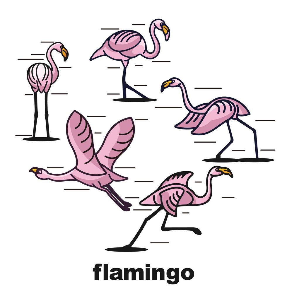 Flamingo Vogel Logo bündeln Sammlung vektor