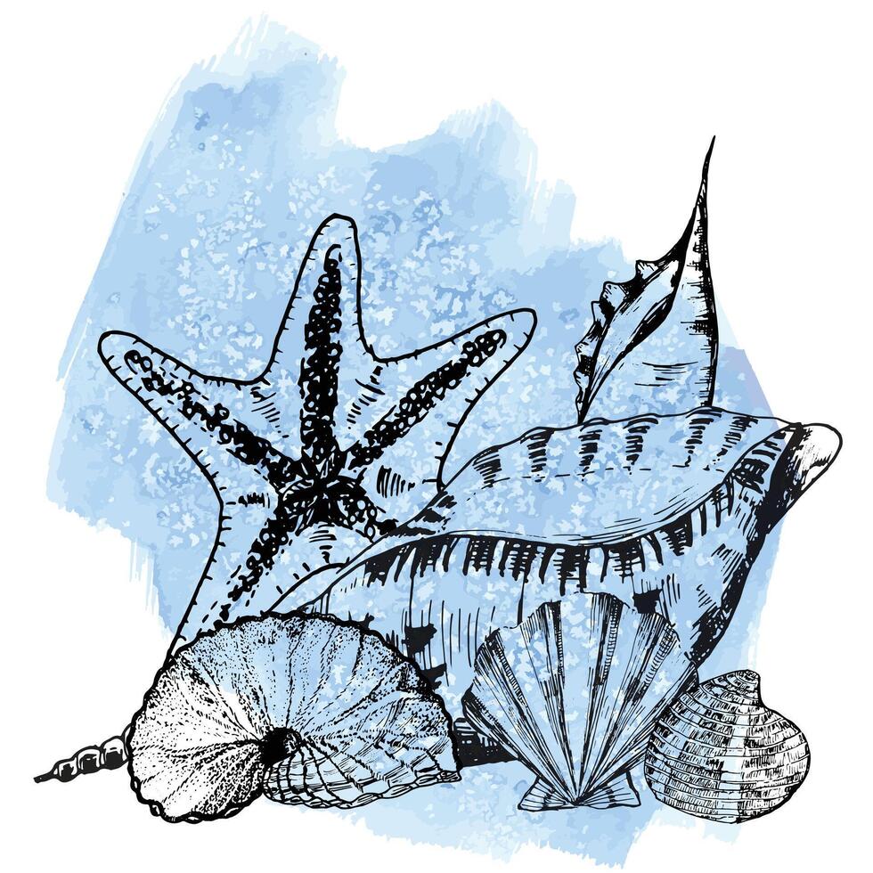 handgemalt Tinte Illustration. dekorativ Kompositionen mit Meer Muscheln, Meer Star auf Blau Aquarell Hintergrund. Vektor