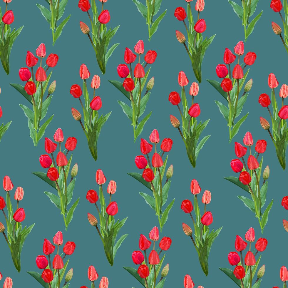 nahtlos Muster mit Blumensträuße von rot Tulpen auf ein Blau Hintergrund vektor