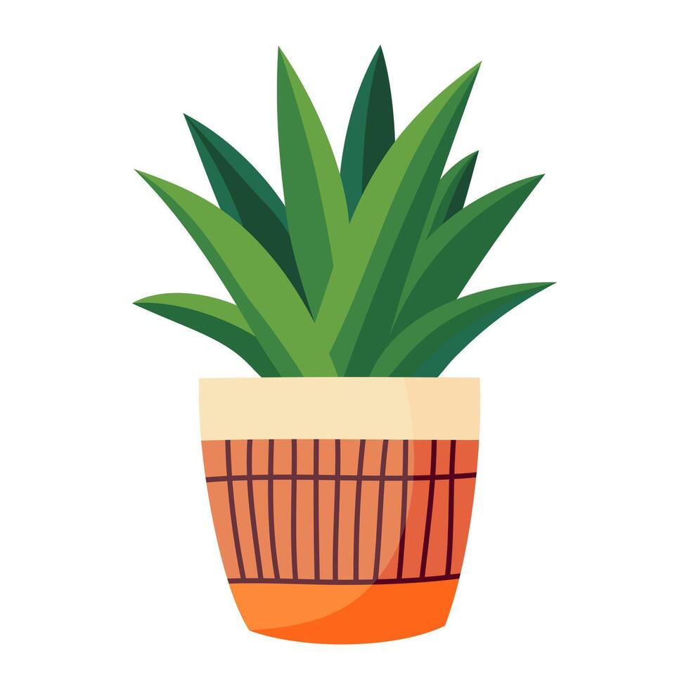 krukväxt aloe vera i en pott. platt stil. grön växt i en blomma pott för mysigt dekoration av Hem, trädgård, veranda, balkong, terrass, kontor, levande rum, uteplats. vektor illustration.