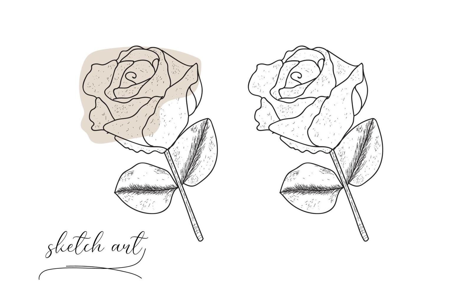 handgezeichnete Rose Skizze Vektor-Illustration-Design. vektor