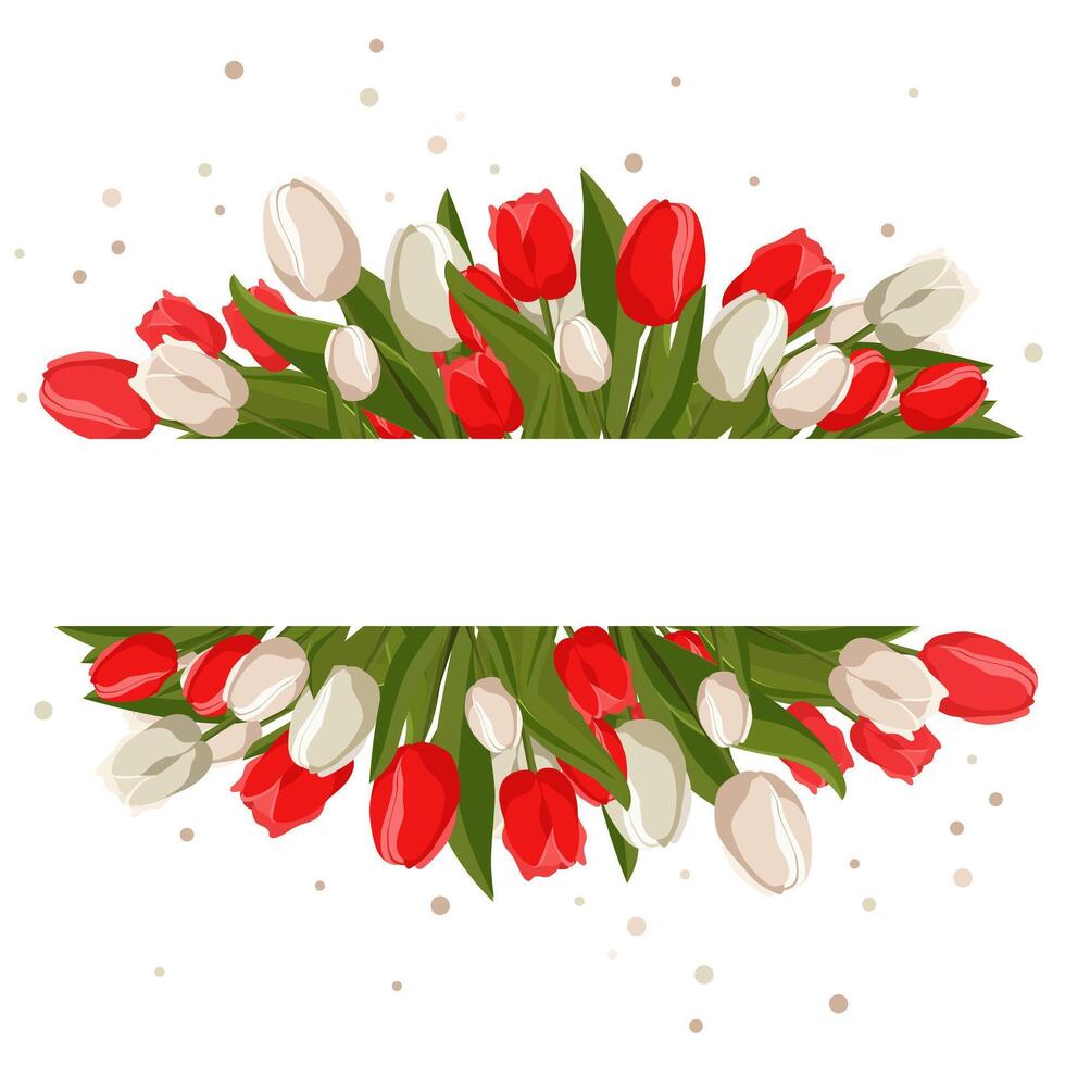 Frühling rechteckig Rahmen mit Weiß rot Tulpen zum Wörter und Text. Vektor Hintergrund Vorlage mit Blumen zum Design, Gruß Karte, Banner, Planke, Flyer, Verkauf, Poster