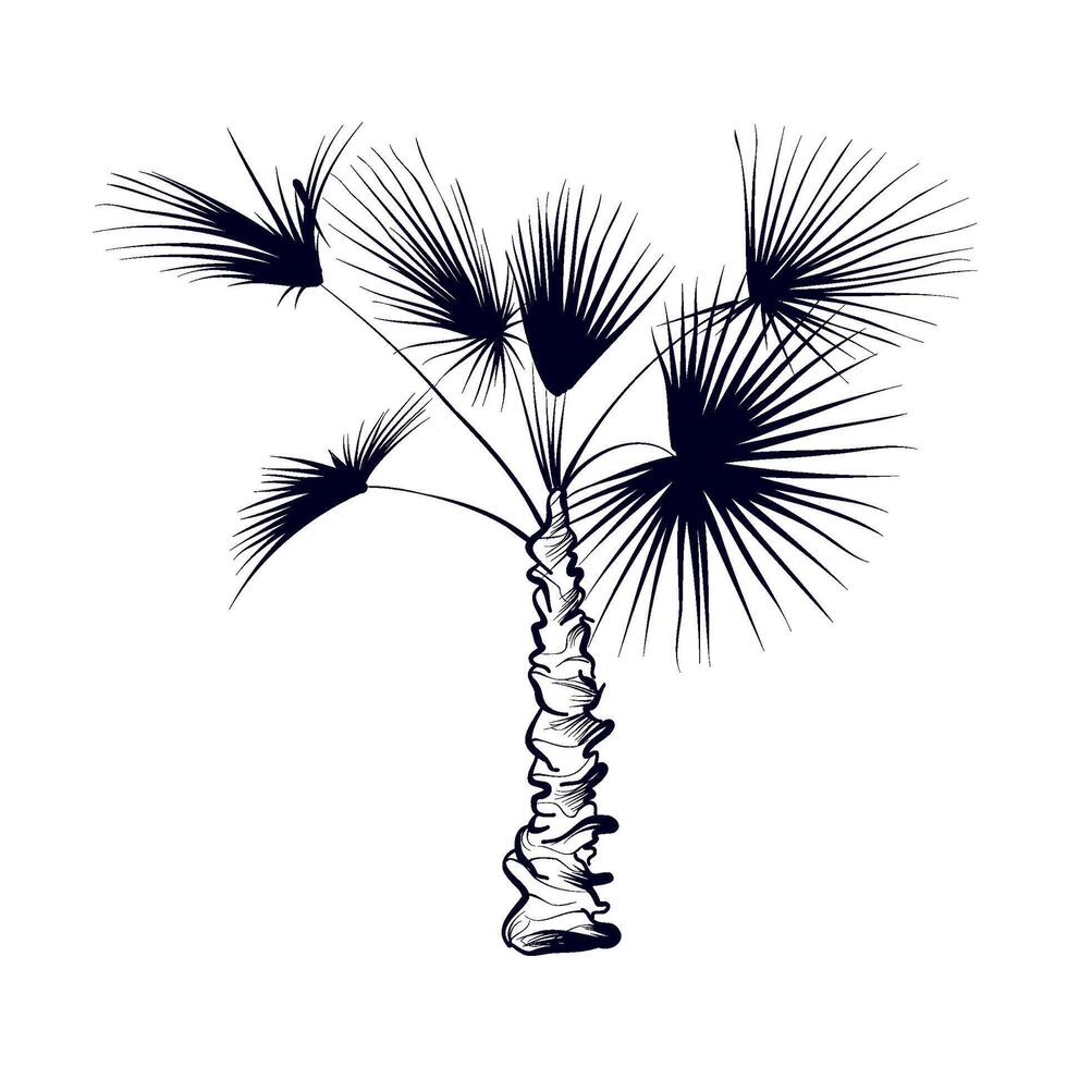 ritad för hand handflatan träd vektor illustration