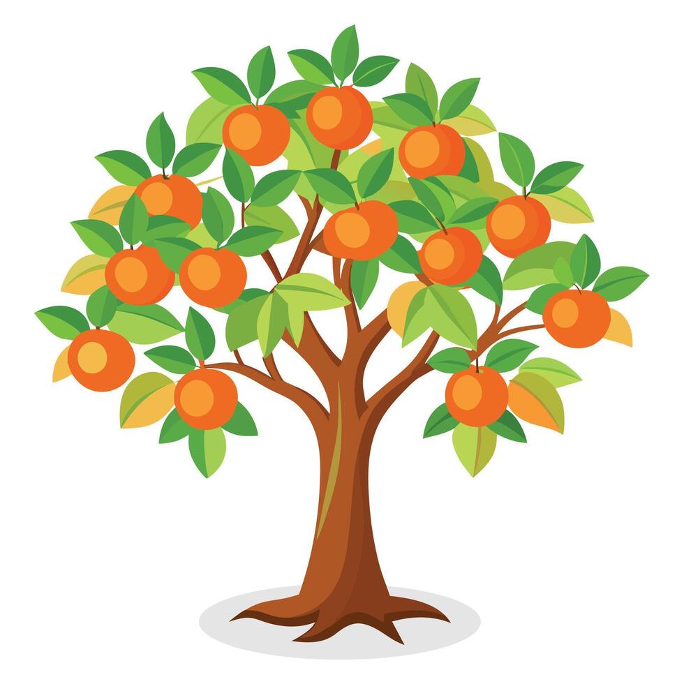 persika träd isolerat platt vektor illustration
