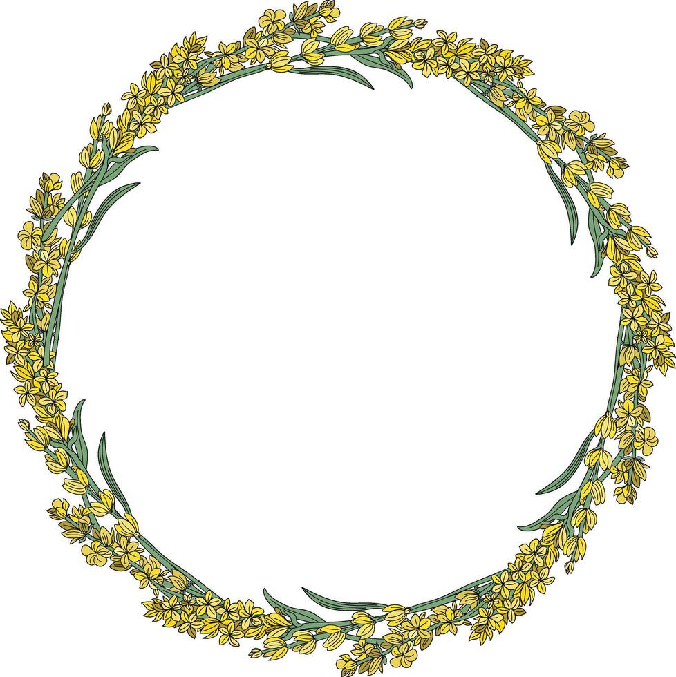 skön gul blomma buketter anordnad i en cirkel vektor