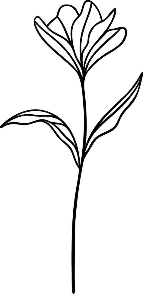 blommig linje konst, botanisk blomma vektor illustration