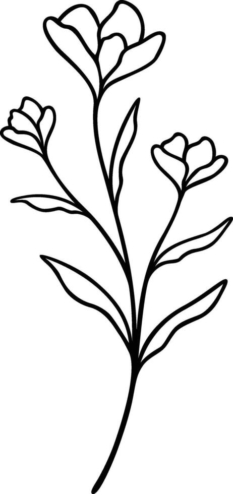 blomma linje konst, botanisk blommig vektor illustration